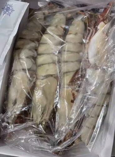 Extra large black tiger prawns, sent live frozen. photo review
