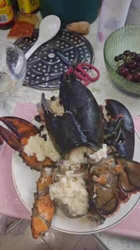 910g+ Live Maine Lobster photo review