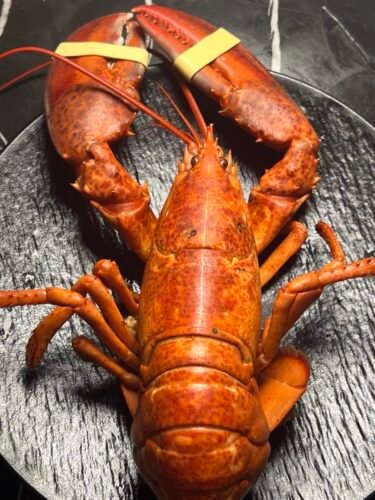 910g+ Live Maine Lobster photo review