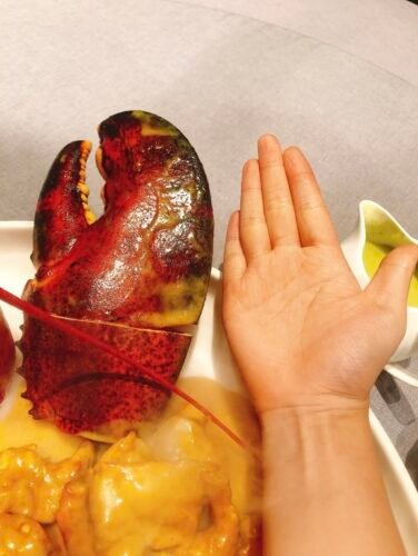 LIMITED EDITION: Giant Deep-Sea Lobster Pincers 🔥 Hurry up! photo review