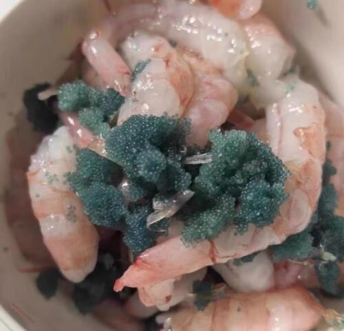 Top-grade Sashimi Seafood, Arctic Sweet Shrimp photo review