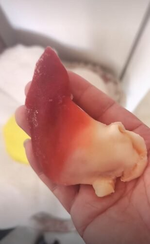 Extra Large Sashimi-Grade Arctic Surf Clam photo review